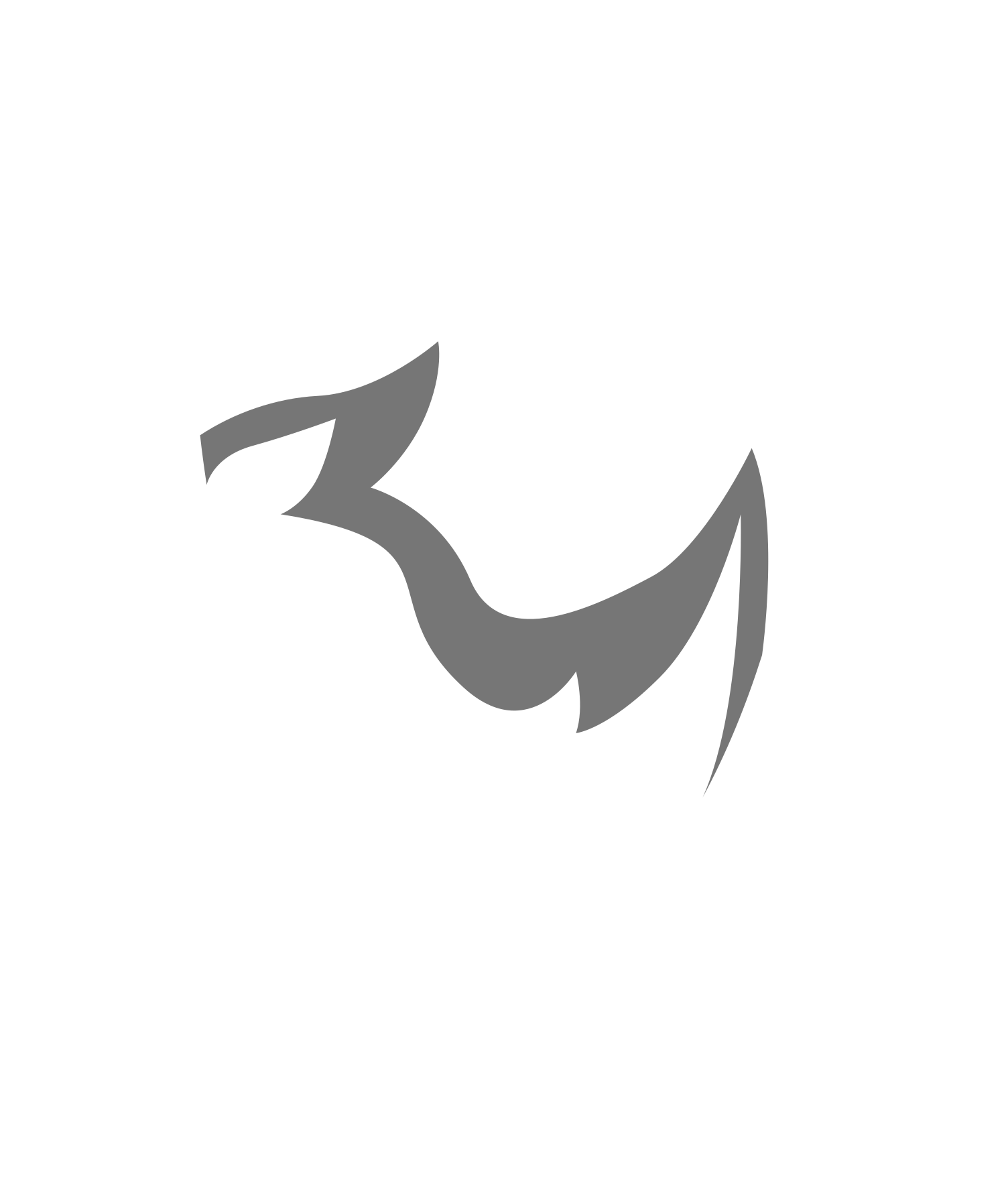 Rhino